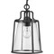 Progress Lighting Benton Harbor Collection One-Light Hanging Lantern with DURASHIELD P550065-031 - alternate 1